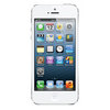 Apple iPhone 5 16Gb white - Заринск